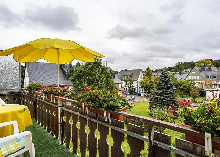 Apartment Bruene Willingen (Upland)